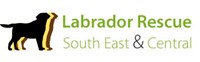 Labrador Rescue South East & Central